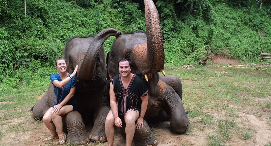 elephant sanctuary toto chiang mai tours