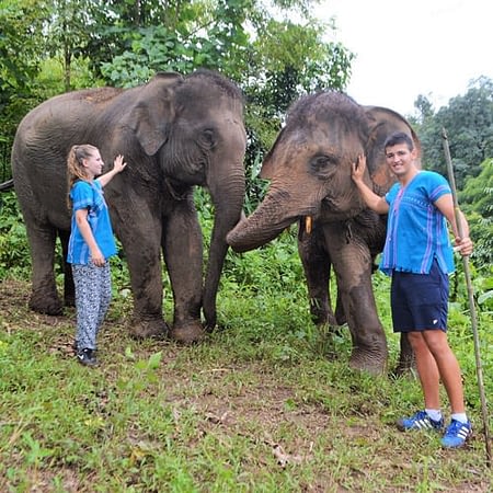 totos elephant sanctuary chiang mai