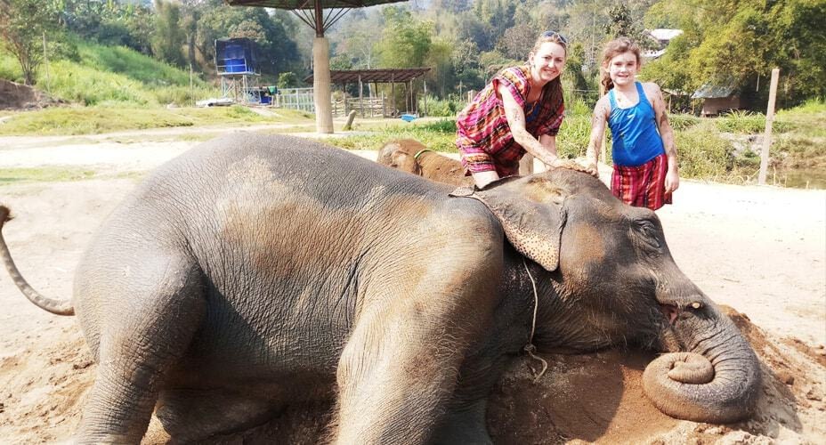 taking care of elephants chiang mai